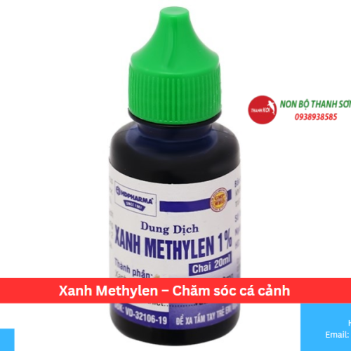 Xanh Methylen – Chăm sóc cá cảnh