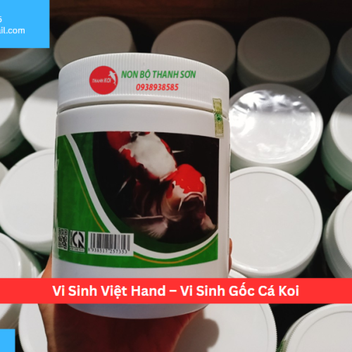 Vi Sinh Việt Hand – Vi Sinh Gốc Cá Koi