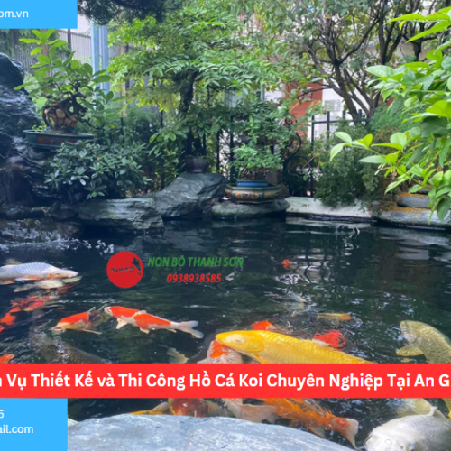 Bảng Báo Giá Thiết kế hồ cá koi An Giang