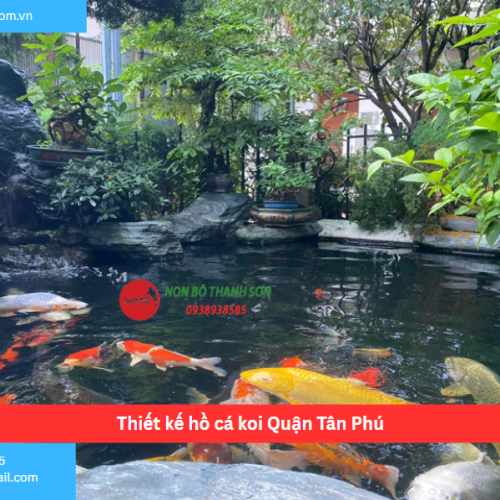 Bảng báo giá thiết kế hồ cá koi Quận Tân Phú