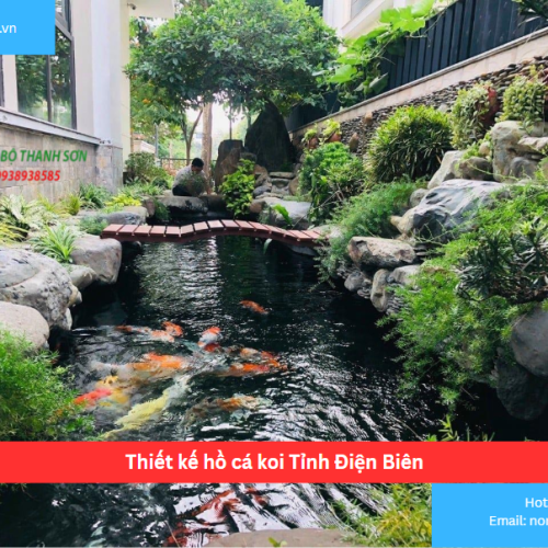 Bảng Báo Giá Thiết kế hồ cá koi Tỉnh Điện Biên