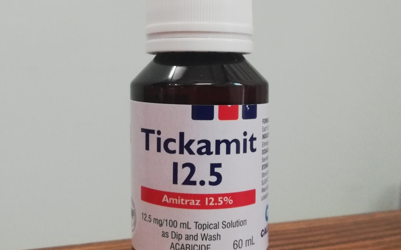 Bộ giải pháp trọn gói phòng và trị bệnh khi nuôi cá Koi