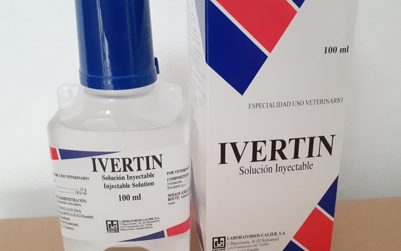 Bộ giải pháp trọn gói phòng và trị bệnh khi nuôi cá Koi