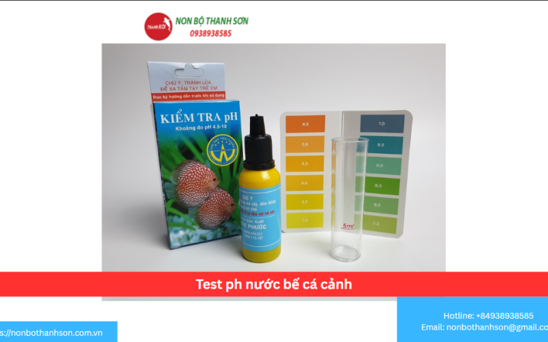 Test ph nước bể cá cảnh