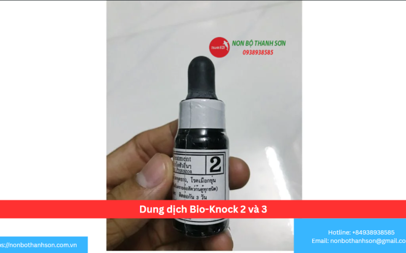 Dung dịch Bio-Knock 2 và 3