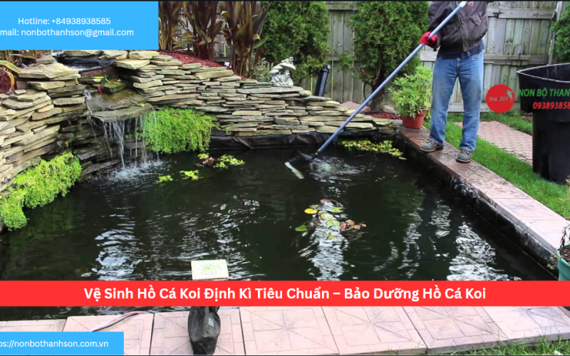 Vệ Sinh Hồ Cá Koi Định Kì Tiêu Chuẩn – Bảo Dưỡng Hồ Cá Koi