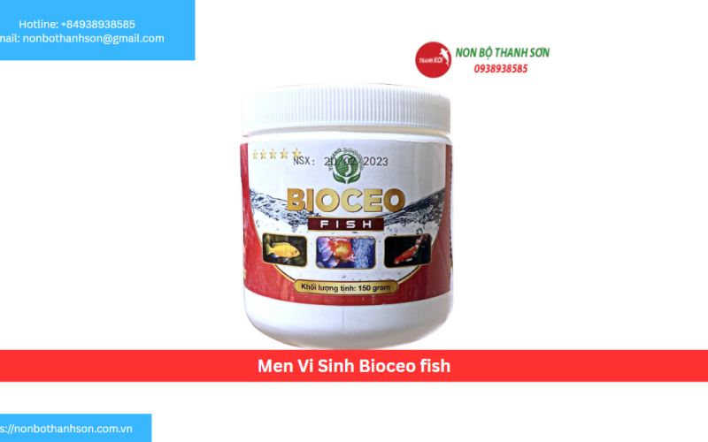 Men Vi Sinh Bioceo fish
