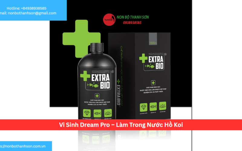 Vi Sinh Dream Pro – Làm Trong Nước Hồ Koi