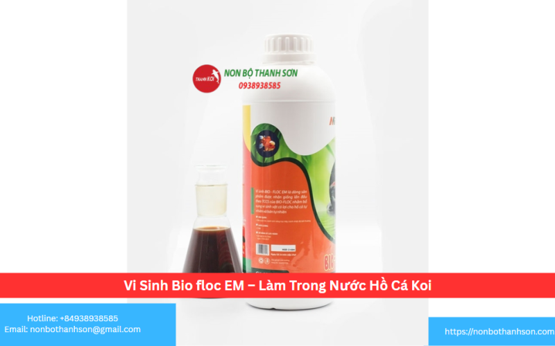 Vi Sinh Bio floc EM – Làm Trong Nước Hồ Cá Koi