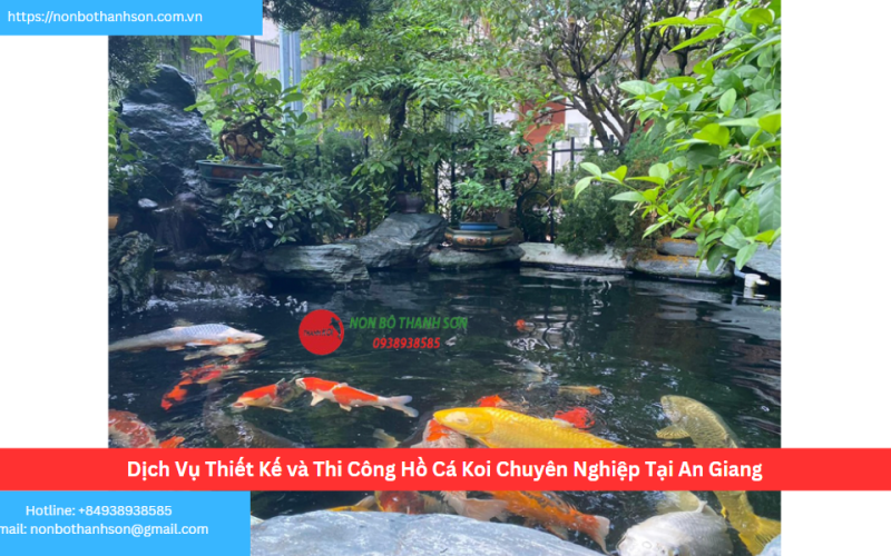 Bảng Báo Giá Thiết kế hồ cá koi An Giang