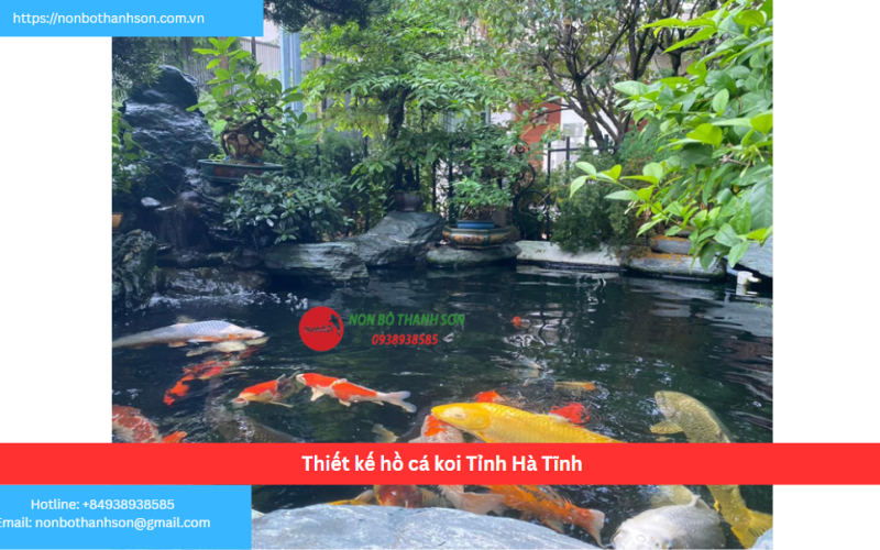 Bảng báo giá thiết kế hồ cá koi Tỉnh Hà Tĩnh