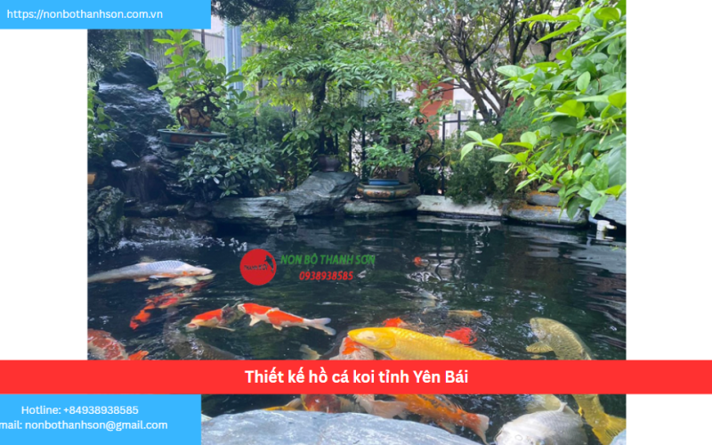 Bảng báo giá thiết kế hồ cá koi tỉnh Yên Bái