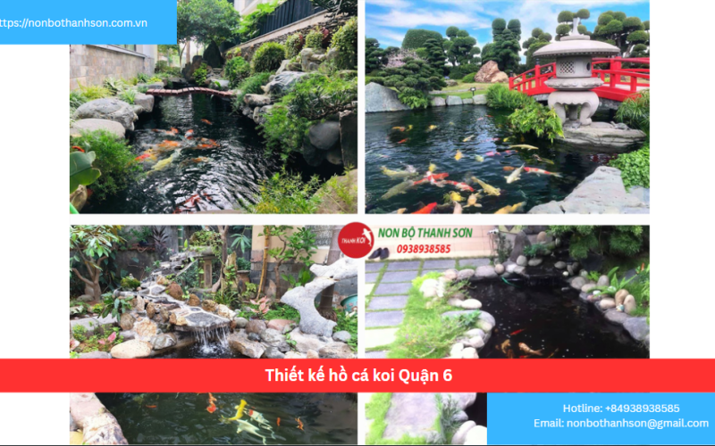 Bảng báo giá thiết kế hồ cá koi Quận 6