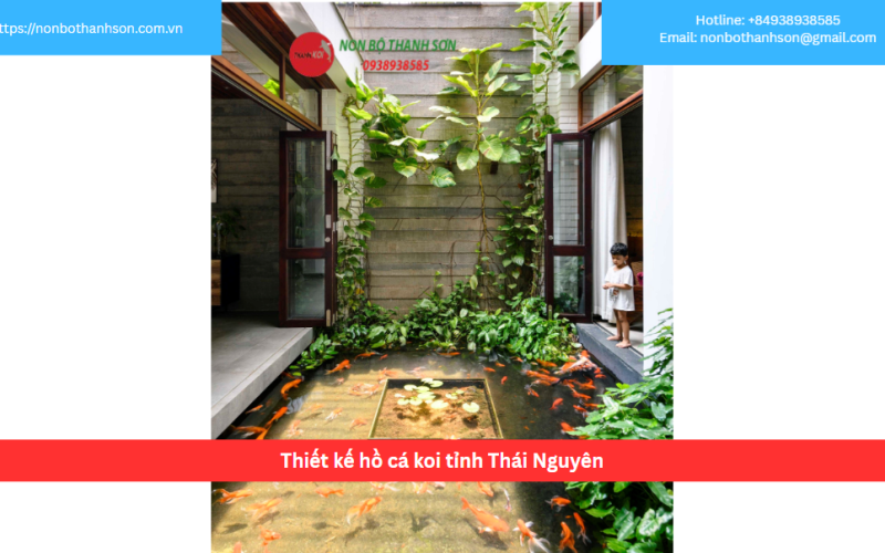 Bảng báo giá thiết kế hồ cá koi tỉnh Thái Nguyên