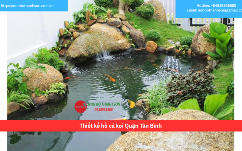 Bảng báo giá thiết kế hồ cá koi Quận Tân Bình