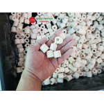 Sứ Nhẫn Trắng – Vật Liệu Lọc Cao Cấp Hồ Cá