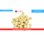 Sứ Bi Vàng Lọc Nước Hồ Cá Cảnh Cá koi