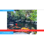 Bảng báo giá thiết kế hồ cá koi Quận Bình Tân