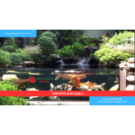 Bảng báo giá thiết kế hồ cá koi Quận 2