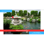 Bảng Báo Giá Thiết kế hồ cá koi Tỉnh Sơn La