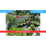 Bảng báo giá thiết kế hồ cá koi tỉnh Hưng Yên