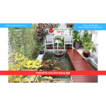 Bảng báo giá thiết kế hồ cá koi tỉnh Quảng Ngãi