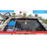 Bảng báo giá thiết kế hồ cá koi tỉnh Lâm Đồng