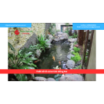 Bảng báo giá thiết kế hồ cá koi tỉnh Đồng Nai 