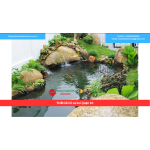 Bảng báo giá thiết kế hồ cá koi Quận 10