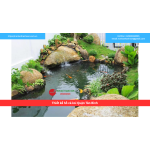 Bảng báo giá thiết kế hồ cá koi Quận Tân Bình