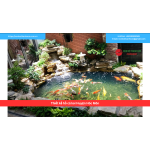 Bảng báo giá thiết kế hồ cá koi Huyện Hóc Môn