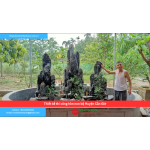 Bảng báo giá thiết kế thi công hòn non bộ Huyện Cần Giờ