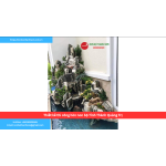 Bảng báo giá thiết kế thi công hòn non bộ Tỉnh Thành Quảng Trị