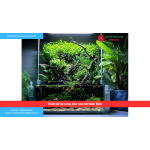 Bảng báo giá thiết kế thi công hòn non bộ Điện Biên