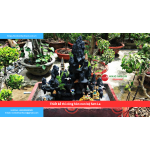 Bảng báo giá thiết kế thi công hòn non bộ Sơn La