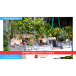 Bảng báo giá thiết kế thi công tiểu cảnh sân vườn Quận 1