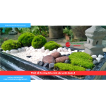 Bảng báo giá thiết kế thi công tiểu cảnh sân vườn Quận 4