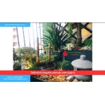 Bảng báo giá thiết kế thi công tiểu cảnh sân vườn Quận 8