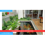Bảng báo giá thiết kế thi công tiểu cảnh sân vườn Huyện Nhà Bè