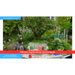 Bảng báo giá thiết kế thi công tiểu cảnh sân vườn Thái Nguyên