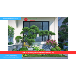 Bảng báo giá thiết kế thi công tiểu cảnh sân vườn Phú Thọ