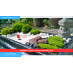 Bảng báo giá thiết kế thi công tiểu cảnh sân vườn TP. Đà Nẵng