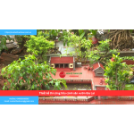 Bảng báo giá thiết kế thi công tiểu cảnh sân vườn Gia Lai