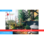 Bảng báo giá thiết kế thi công tiểu cảnh sân vườn Lâm Đồng