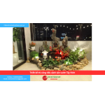 Bảng báo giá thiết kế thi công tiểu cảnh sân vườn Tây Ninh