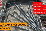 Cách Làm Thổi Luồng Cho Hồ Cá Koi: Hướng Dẫn Chi Tiết Từ A-Z