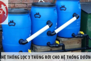 Thiết Kế Thùng Lọc Cho Hồ Cá Chép Koi Đúng Chuẩn
