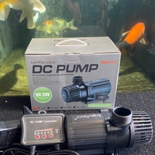 Bơm MARINE AQUA 24V DC5000: Giải Pháp Hoàn Hảo Cho Hệ Thống Hồ Cá và Tiểu Cảnh