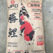 Cám Cá Koi JPD Shori Gain Weight – Bao 15kg: Giải Pháp Hoàn Hảo Cho Sự Phát Triển Vượt Trội Của Cá Koi