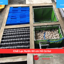 Chổi Lọc Nước 60 cm Hồ Cá Koi